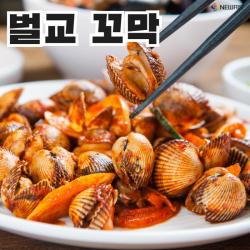 특 꼬막 참꼬막 새꼬막 피꼬막 벌교참꼬막 강릉꼬막비빔밥 만들기 피조개무침 꼬막제철 냉동꼬막 자숙꼬막 꼬막철, 특꼬막 2kg(140미내외)