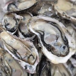 장가네수산 산지직송 통영생굴 하프셀 반각굴 2단 60미 내외/(평일오후2시이전까지 당일발송), 1box, 하프셀 2단