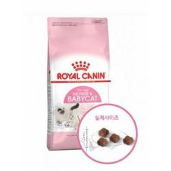 [에이치몰 무배] 로얄캐닌 고양이 사료 마더 앤 베이비캣 2kg 반려묘사료 고양이주식 고양이사료 고양이영양사료, 상품상세페이지기재확인, 상품상세페이지확인