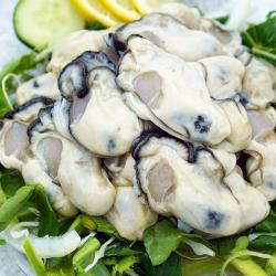 통영 산지직송 최상급 생굴 냉동굴 1kg, 1kg