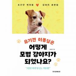 유니오니아시아 유기견 이뽕실은 어떻게 모범 강아지가 되었나요