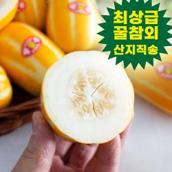 성주참외 2kg 5kg 소과 중과 고당도 참외 로얄과 못난이 꼬마 작은 미니참외 알뜰 가정용 실속참외 산지직송 선물용 한박스, 가정용 성주참외 소과 5kg(12-20과 내외)