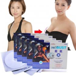 컨실러 제품 도달 후 빠른 작은 가슴 대평면 가슴크림 반제품 제품 3 박스 (한 개 구매 권고), 단일상품