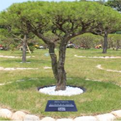 그린석재 (추모비 비석) 비석 추모비 묘비석 평장묘비석 수목장비석 표지석 동영상을담은QR비석 프로젝터, QR수목장비석_300
