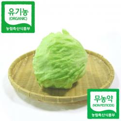 [산세로]친환경 양상추 6구, 1개