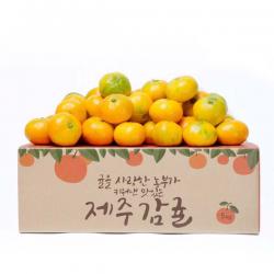  미담 첫수확 서귀포 조생 감귤 1box 로열과 4.5kg 실중량