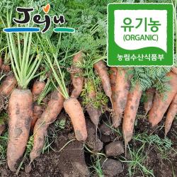 지구마을 친환경 유기농 제주 흙당근 햇당근 특 3kg, 단일상품