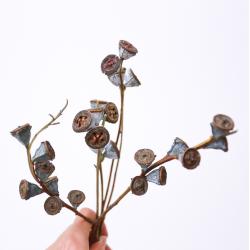남 머물다 여 야 유칼립투스이즈 말린꽃 천연 나무 열매 꽃술 꽃꽂이 DIY 재료 요리당 벽면데코, 나로. 언덕 1큰 가지를 꺾었다 (4 마른 나뭇가지
