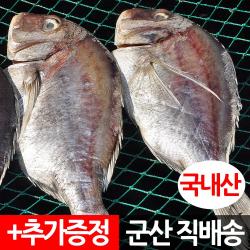 장스토어 제수용 반건조 도미 1미 500g 국내산 군산항직송, 1세트, 제수용 도미 1미 500g 내외
