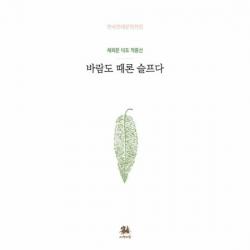 바람도 때론 슬프다 채희문 대표 작품선 한국현대문학전집, 상품명