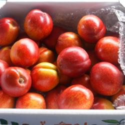 [핫하다핫해] 신선 신비복숭아 1.0kg, 신선 복숭아 (황도) 1.0kg