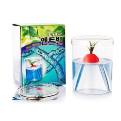 살아있는 개미가 포함된 앤트빌 개미키우기세트, 1세트