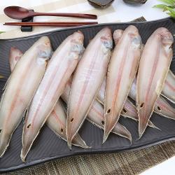 파란별건어물 [속초직송] 고소하고 납작한 반건조 서대 32cm (박대), 32cm이상, 10미