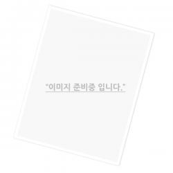 (삼성전자) SHE-D10 네이비그린