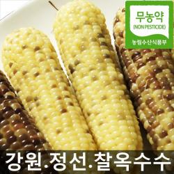 (햇살농원) 강원 정선_ 흑찰 옥수수 30통 (무농약_친환경 재배) 당일수확 산지지송, 1박스