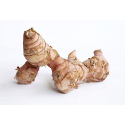 알라딘푸드 갈랑갈 태국 항공직송 1개 1kg