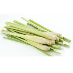알라딘푸드 레몬그라스 1개 1kg