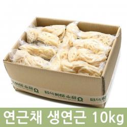 두리반농산 연근채(수입염장) 생연근 10kg, 1박스