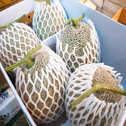 달달과수원 신선하고 맛있는 머스크 메론 7~8kg 5개