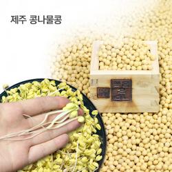 와이쇼핑 제주 콩나물콩 애월농협 수매 풍산품종 햇콩 1개 1kg