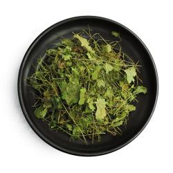 [동광한방몰] 금전초/연전초/국내산 600g, 600g, 1팩