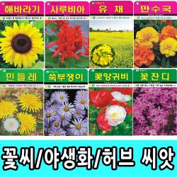 SN월드 씨앗 고급 꽃씨 봉선화 백일홍 채송화 코스모스 해바라기 금잔화 메리골드 나팔꽃 분꽃 꽃씨앗 야생화, 고급 - 유채(20g)