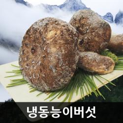 금강송이무역 자연산 능이버섯 냉동 특품 A급 1kg 1개