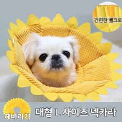 브라더펫 강아지넥카라 고양이넥카라 넥카라 피부 관리 목호보대 L 애견 강아지 고양이 벨크로 찍찍이 대형 깔대기, 1개
