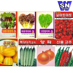 SN월드 씨앗 상추 방울토마토 당근 고추 양파 허브 새싹 꽃씨 야생화, ▶c뿌리채소◀ ★과일무