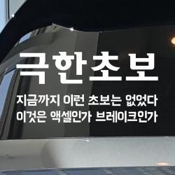모노먼트 초보운전 스티커 극한초보 L_흰색 대형 