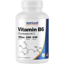 뉴트리코스트 비타민 B6 피리독신 Hci 100mg 캡슐 240개입 1개